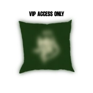 Rich Hood limited edition car pillow 2k26